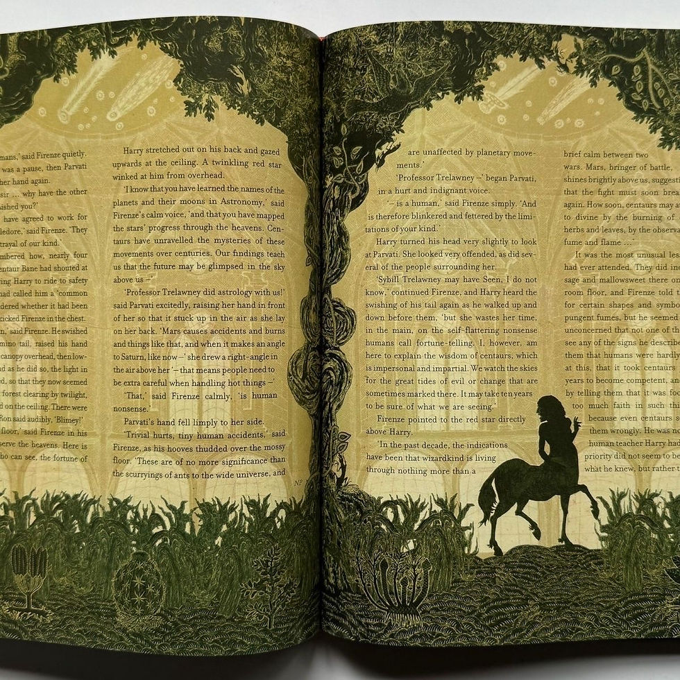 縮圖：Harry Potter hardback books 哈利波特 魔法石 Philosopher's Stone
