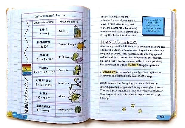 縮圖：Big Fat Notebook ⟪美國少年學霸筆記⟫