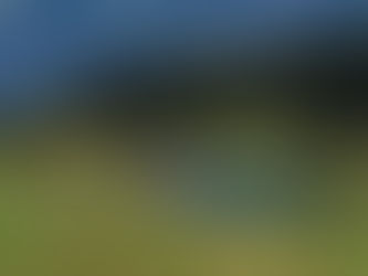 Erfolg im Team durch Klarheit und Vertrauen