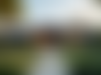 The Importance of Expert Real Estate Services in Queensland