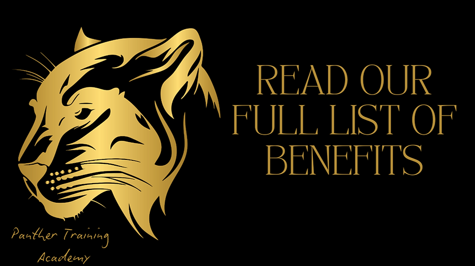 TAN Garland (92).png