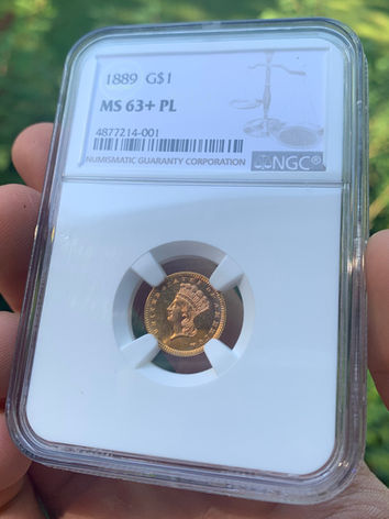 Proof Like Gold Dollar