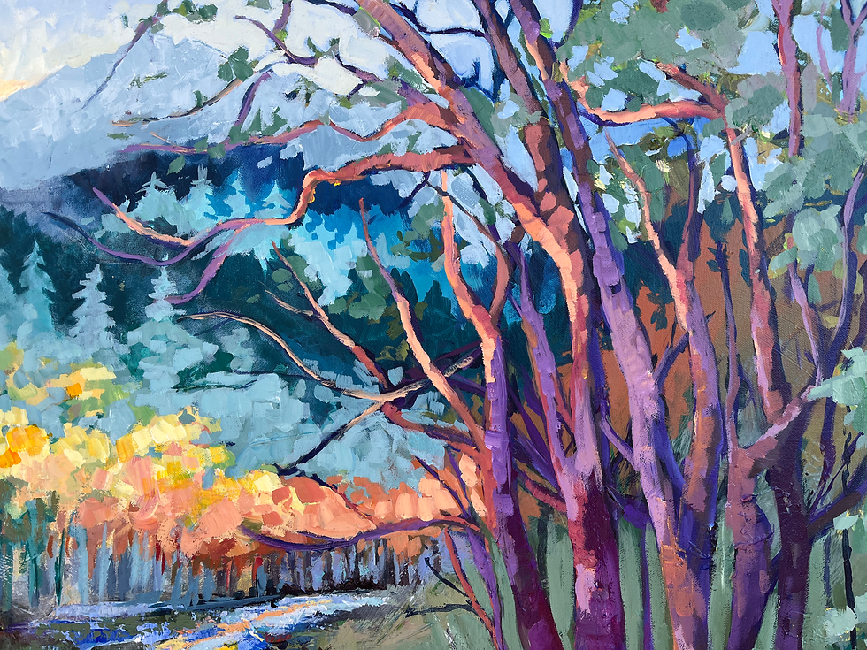 Thumbnail: 🔴 sold "Roaring Fork River" 30x48"