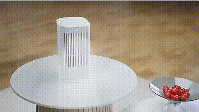 detail_37497_16596857474249.gif