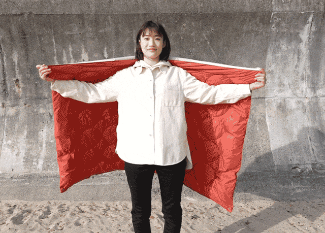 detail_33640_16472271139142.gif