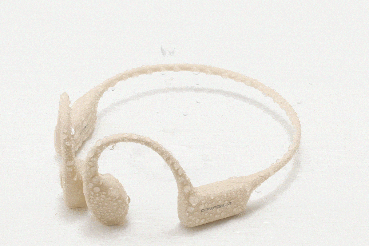 freecompress-08-2.gif
