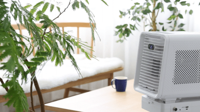 detail_34378_16504661416509.gif