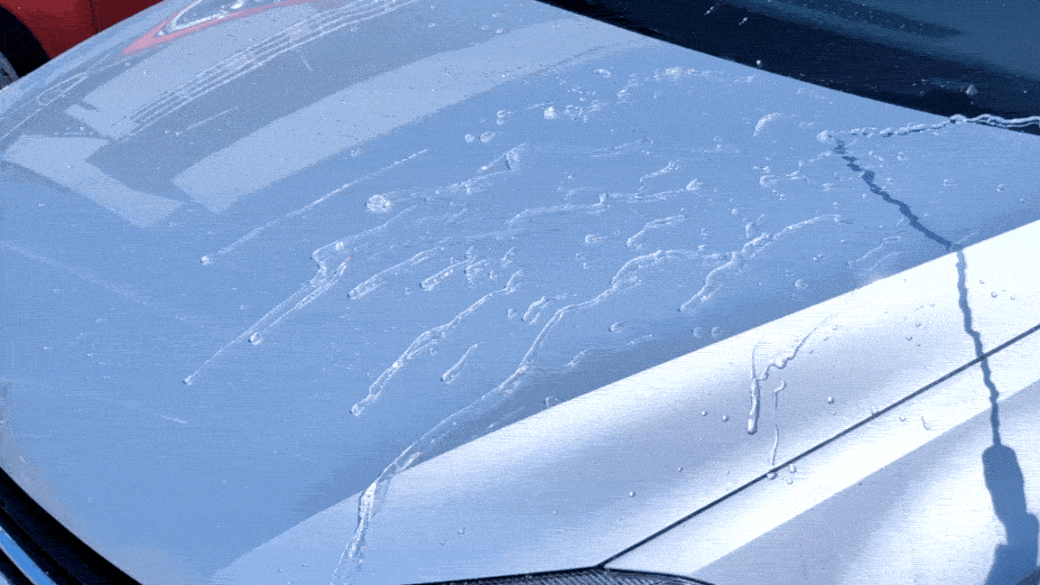 detail_67825_17802456417105.gif