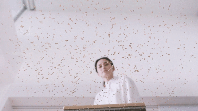 detail_24230_16195863513424.gif