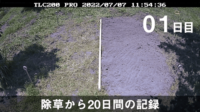 detail_35972_16618370