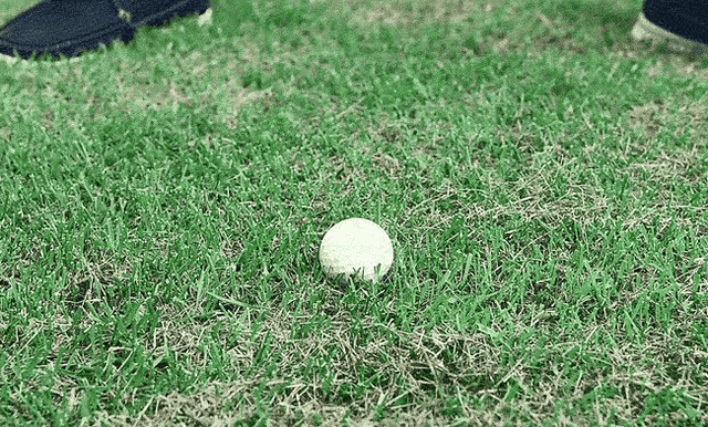 detail_38238_16593403085194.gif