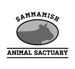 SAS Logo Draft 1