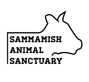 SAS Logo Draft 3