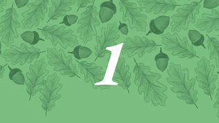 The number 1 on a light green background of acorns and leaves of an oak tree