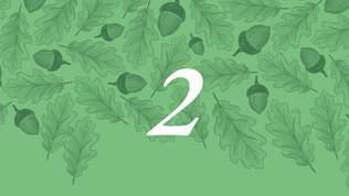 The number 2 on a light green background of acorns and leaves of an oak tree