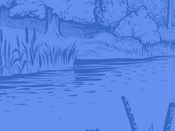 A line drawing of a pond