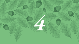 The number 4 on a light green background of acorns and leaves of an oak tree
