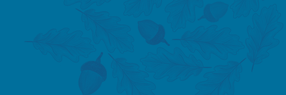 nature programme cover banner.png