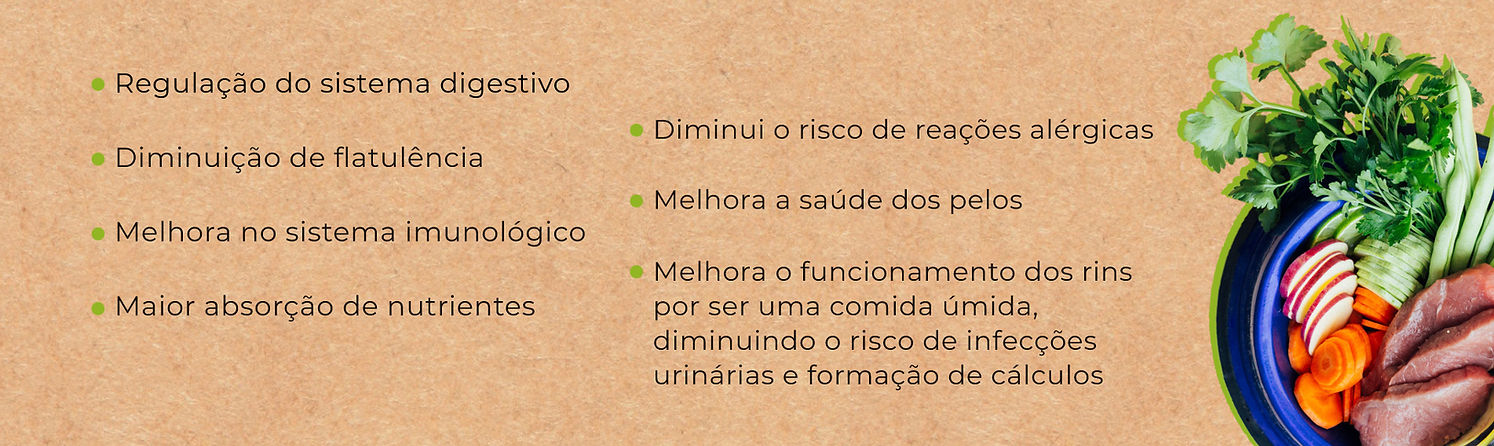banner-nós-2.jpg