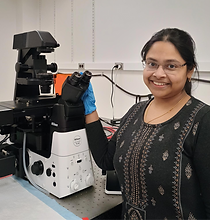 shared image_edited.png