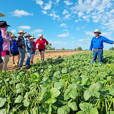 Mentor Denis Kiely talking to students in mungbean crop.jpg