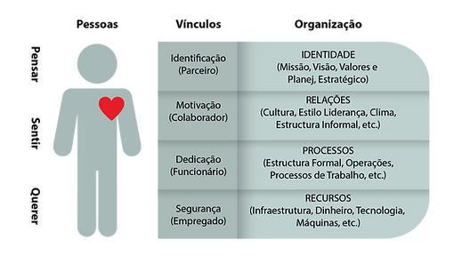 01. Alinham. Identidade - Pessoas & Organização
