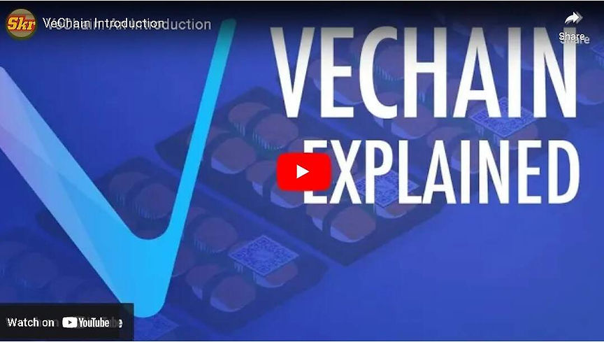 SkrAtch™ VeChain.jpg
