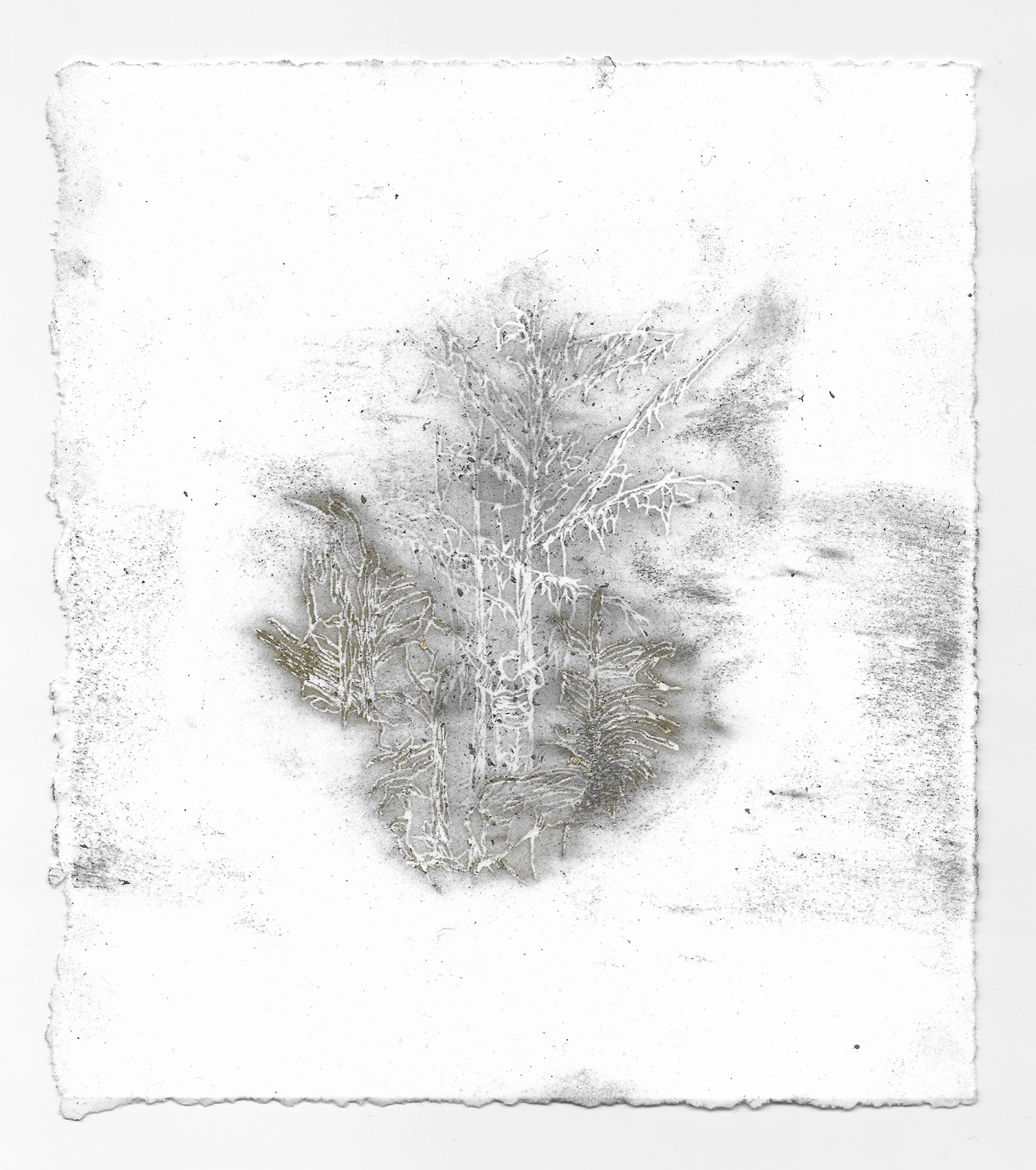 Imitation: Remnant Two Plates