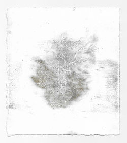 Imitation: Remnant Two Plates