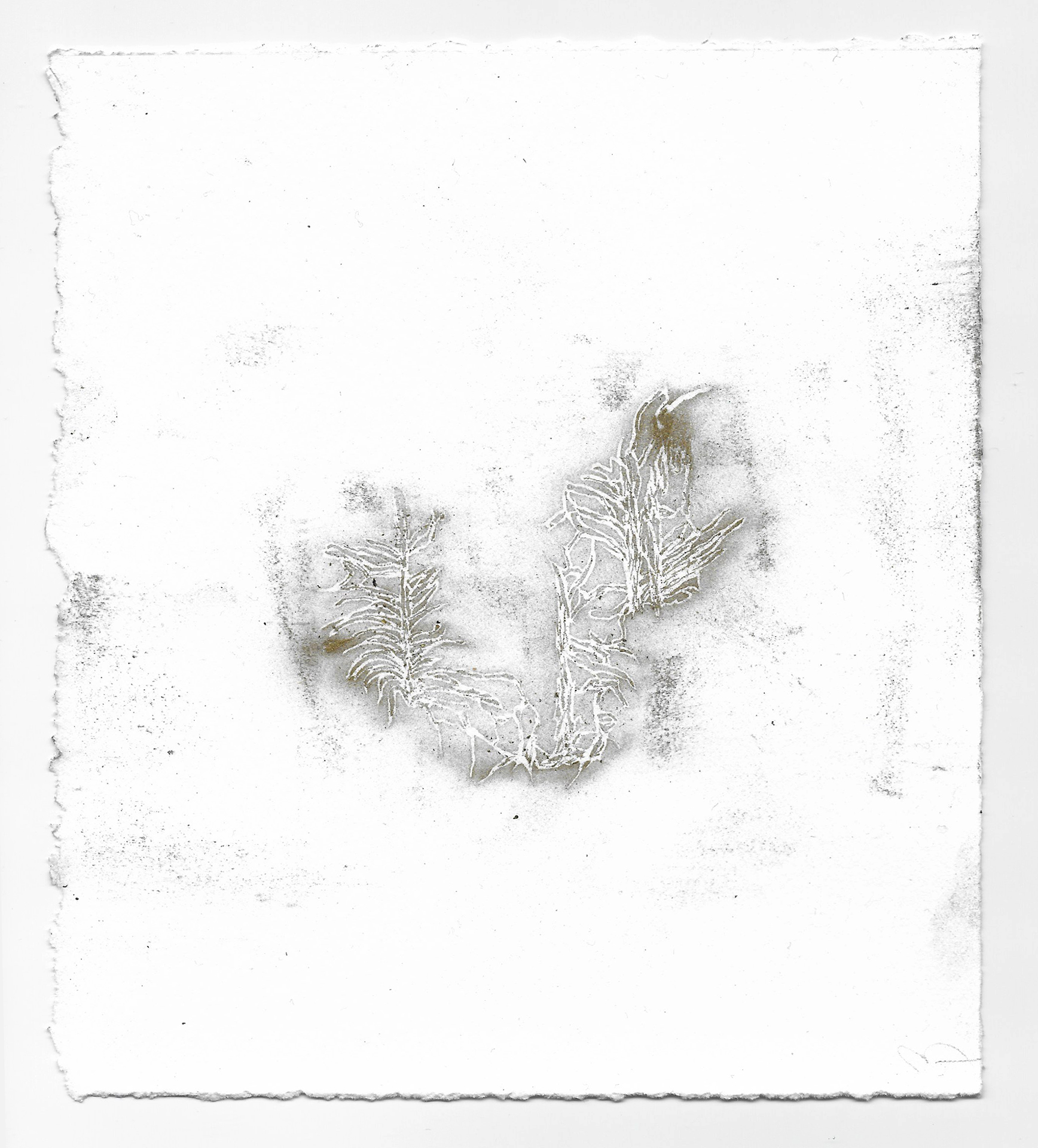 Imitation: Wood Remnant