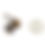 Thumbnail: Surface Level: Earrings 4