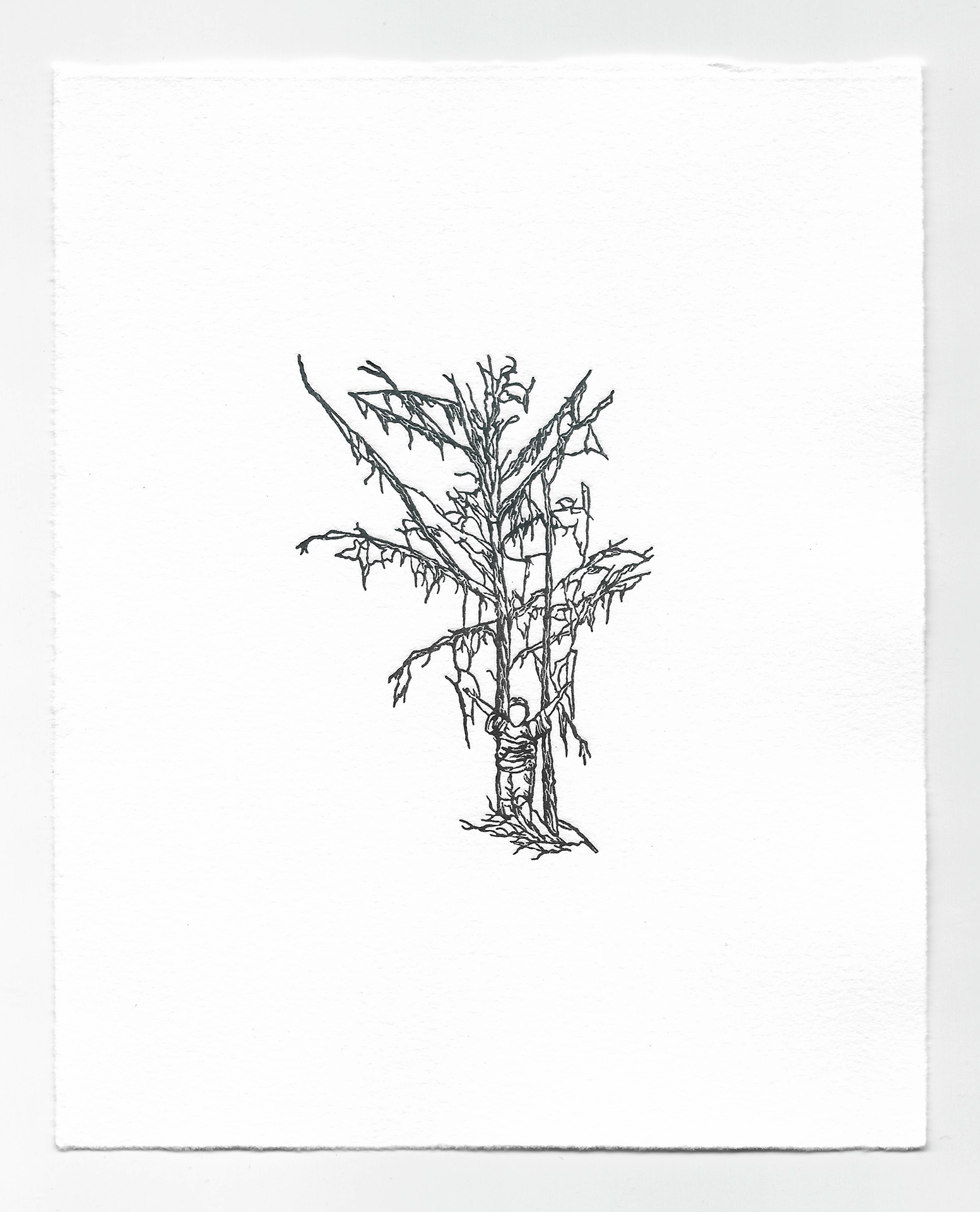 Imitation: Impression