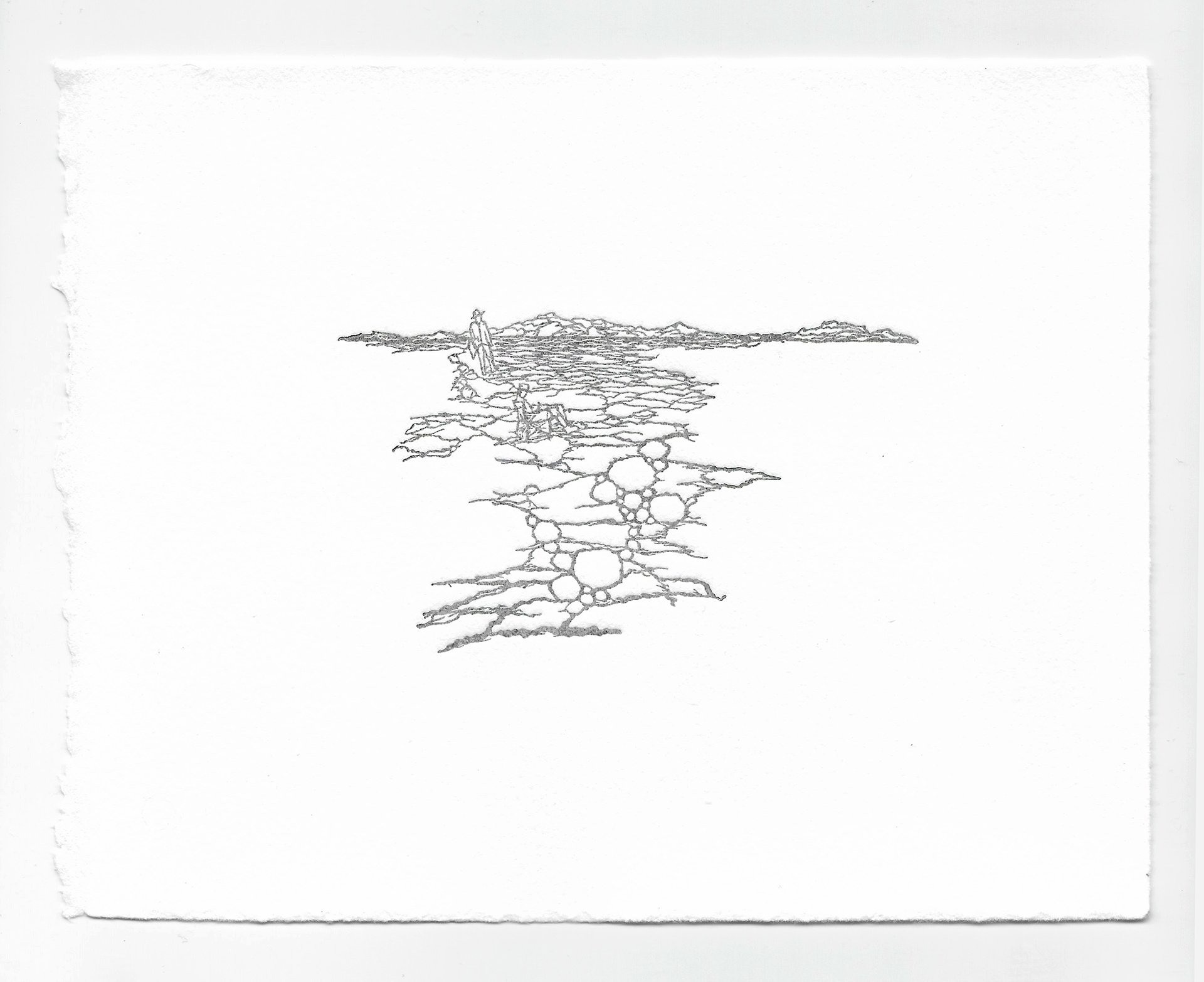 Salted: Impression Ghost
