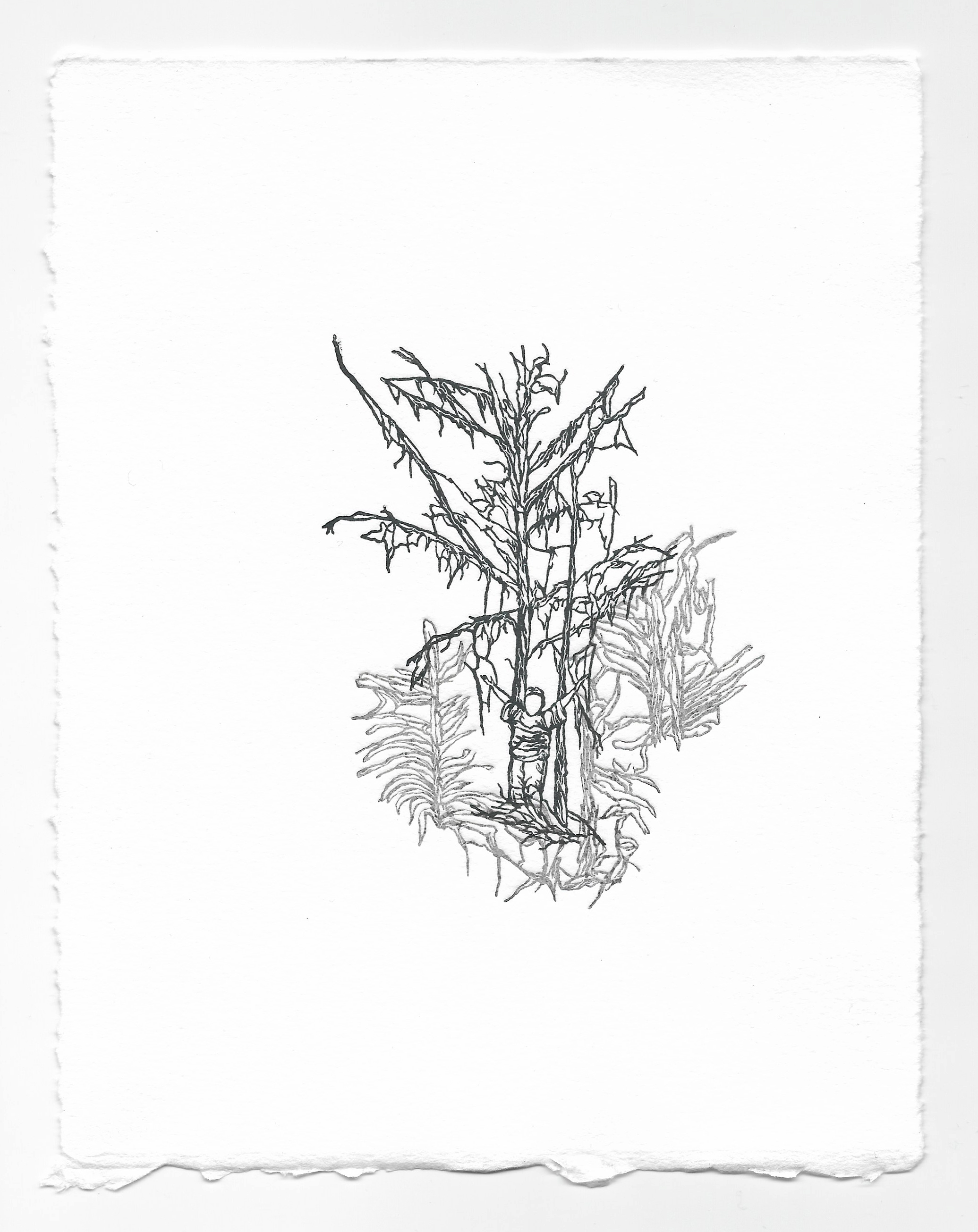 Imitation: Two Plates Impression I