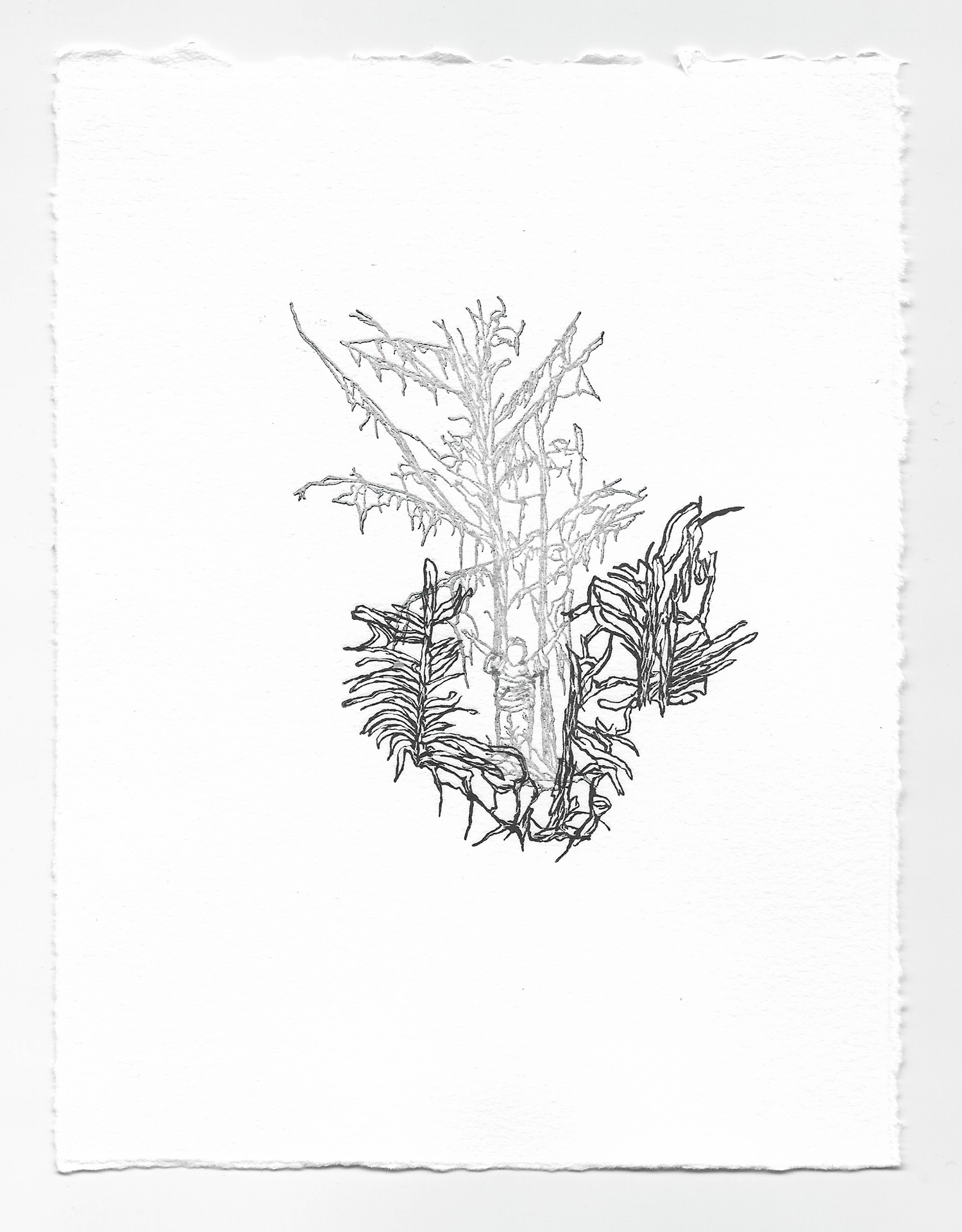 Imitation: Two Plates Impression II