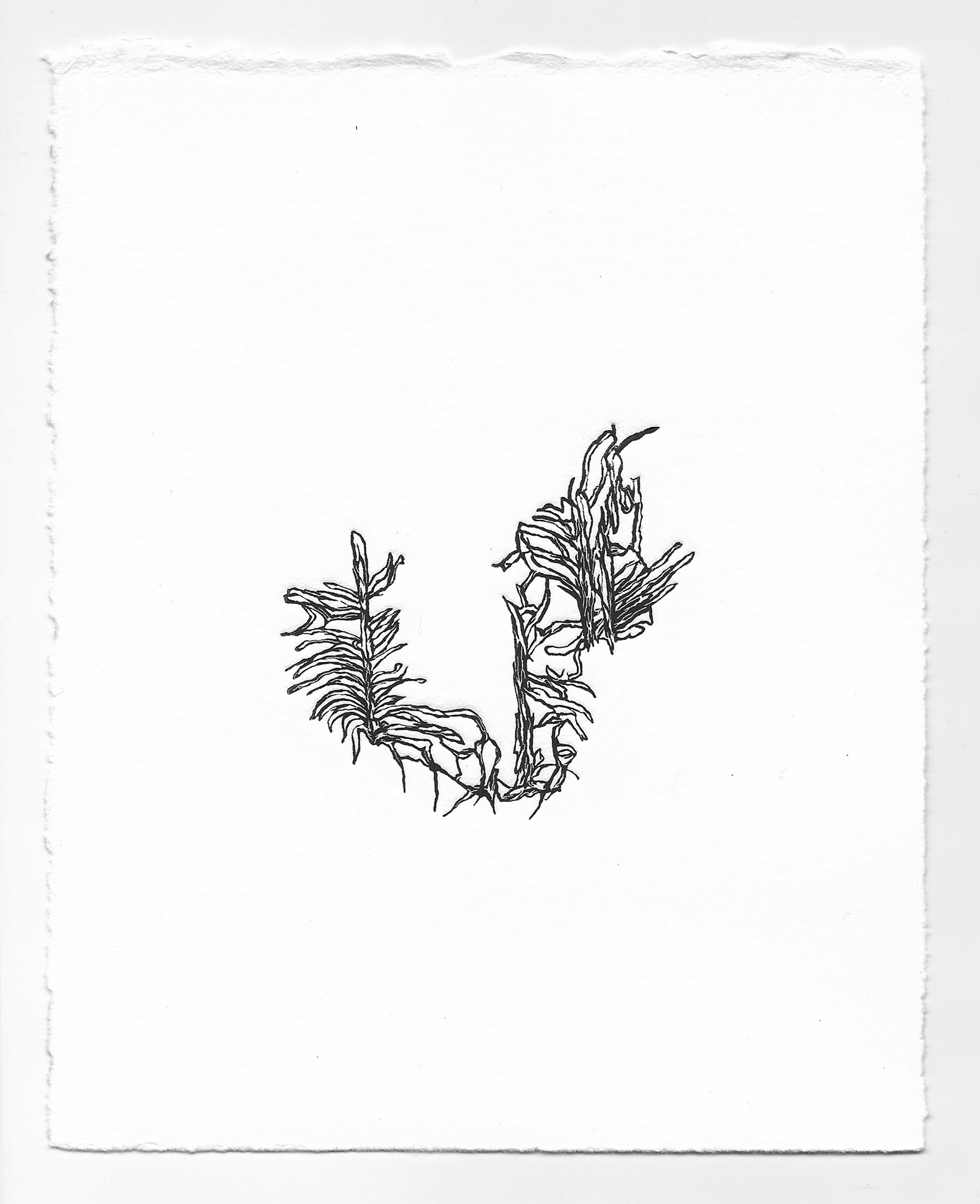 Imitation: Wood Impression