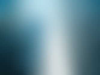 How to Establish a Private Limited Company