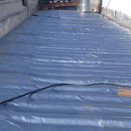 WhatsApp Image 2023-06-20 at 16.02.50(1).jpeg