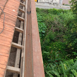 WhatsApp Image 2023-06-20 at 16.14.52.jpeg