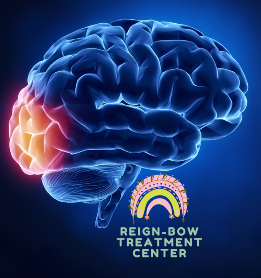 Understanding the Temporal Lobe: Its Role in  c Language, Memory, and Autism