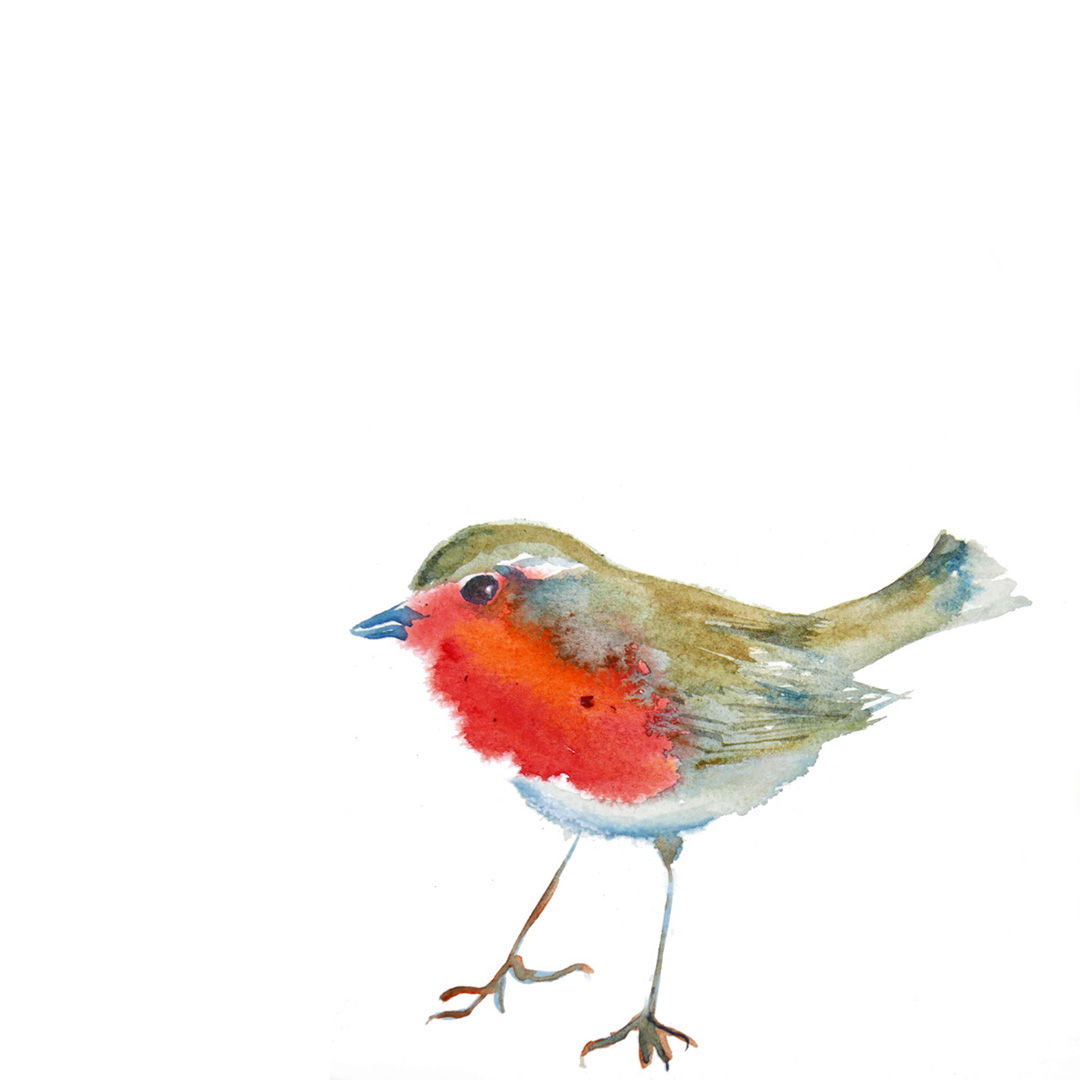 Robin Christmas Card