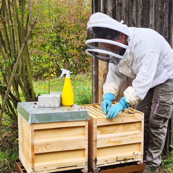Imker aus Magstadt vermietet Bienen