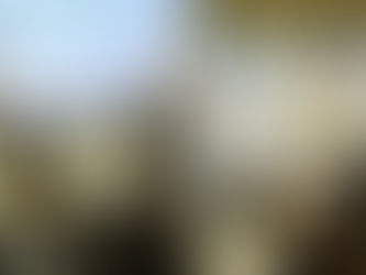 Kooperationsschulen stellen sich vor ... hier das Anne Frank Berufskolleg