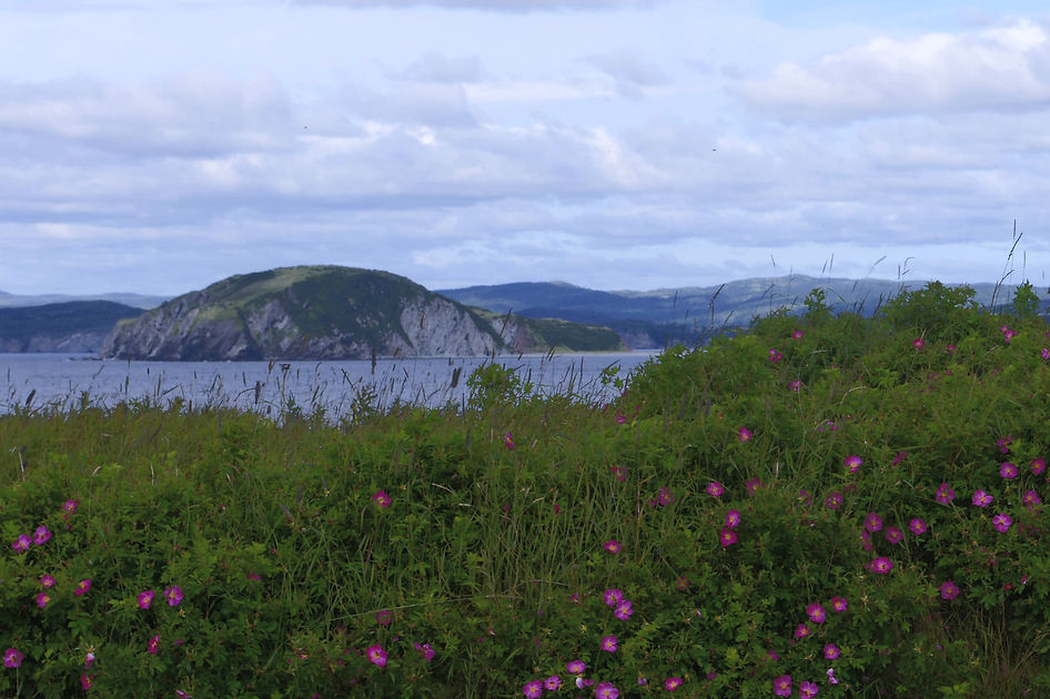 English Harbour 08 23 DSC_4491_edited.jpg