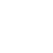 network pp.webp