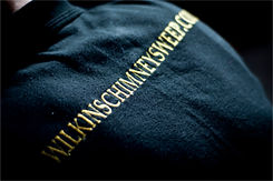 Chimney sweep Putney