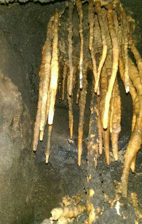 Use someone who can…