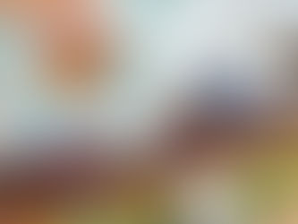 What is Gongfu Cha? A Beginner's Guide to Traditional Chinese Tea Brewing