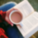 BlurBook.png