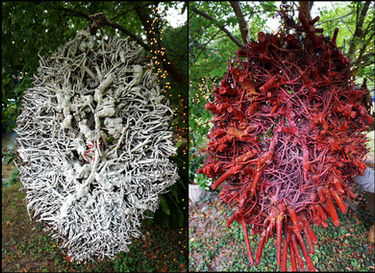 Tomas Ronse. New Dorp Uprooted (2013)